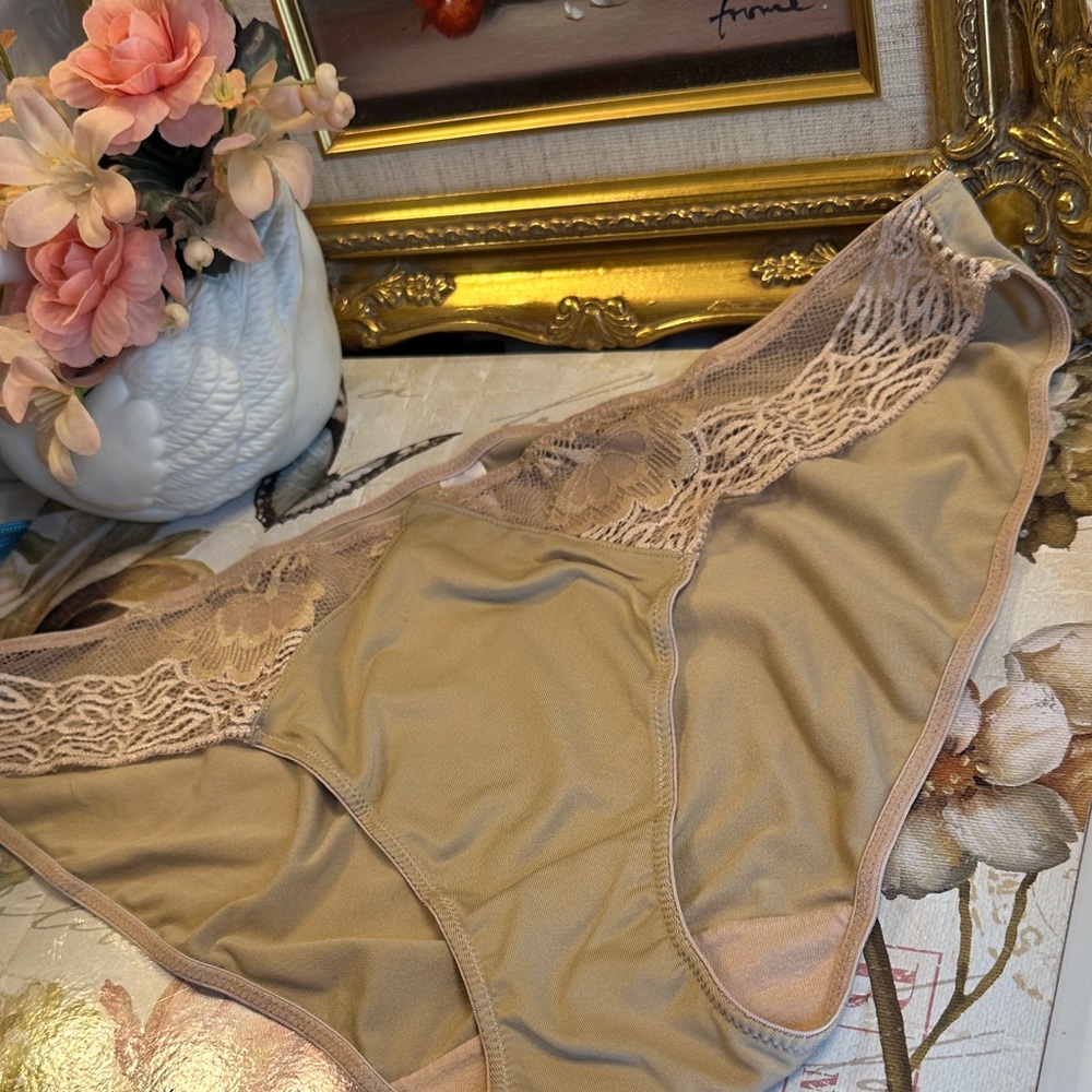 Natori Lace Trim Beige Panties - XL
